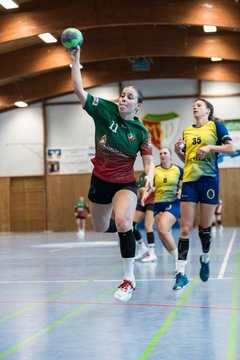 Bild 233 - F HSG Kremperheide/Muensterdorf - HSG HerKollNeu : Ergebnis: 43:29